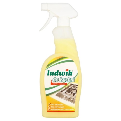 14-9790 MLECZKO DO CZYSZCZENIA KUCHNI LUDWIK 750ML