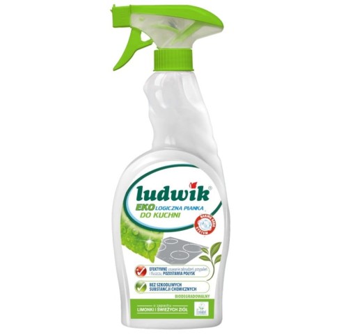 14-9832 PIANKA DO CZYSZCZENIA KUCHNI LUDWIK EKO 750ML