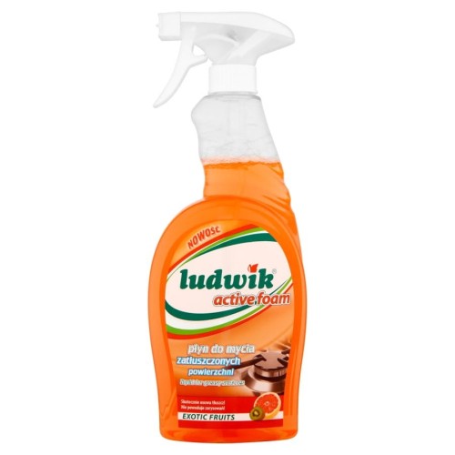 14-9796 PŁYN DO MYCIA ZATŁUSZCZONYCH POWIERZCHNI LUDWIK 750ML