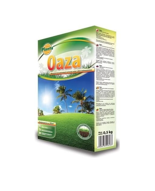 6736483 TRAWA GAZONOWA PLANTA OAZA 0,5 KG