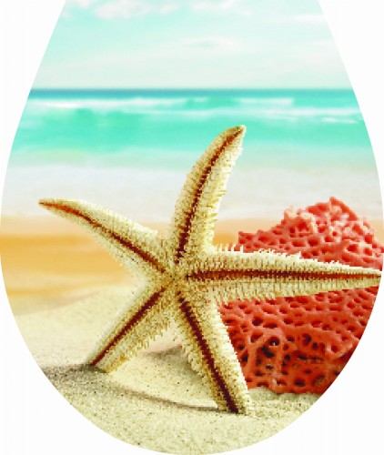 Naklejka 3D Na Deskę Sedesową "Rozgwiazda" Tycner