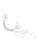 12.webp