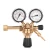 5901477177064.webp