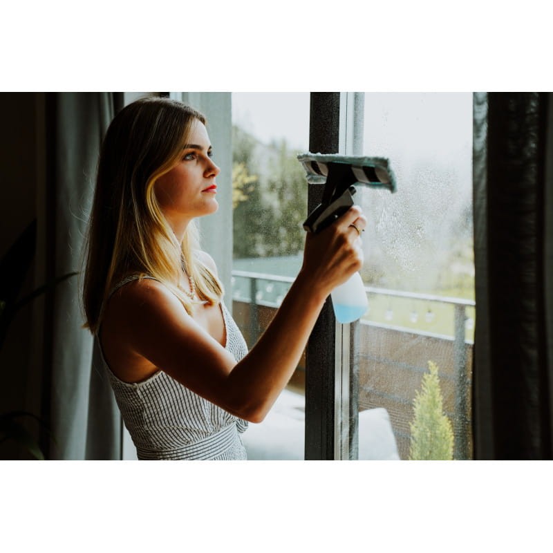 myjka-do-okien-vwp100-5v-stalco-perfect-s051998892 (6).jpg