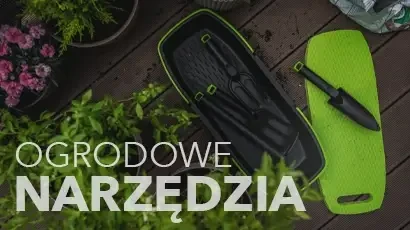 Zobacz